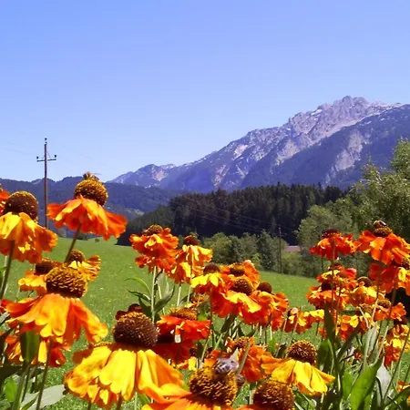 Gsenger In Abtenau By Interhome アパート