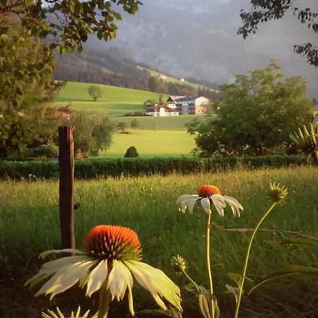 Gsenger In Abtenau By Interhome Abtenau