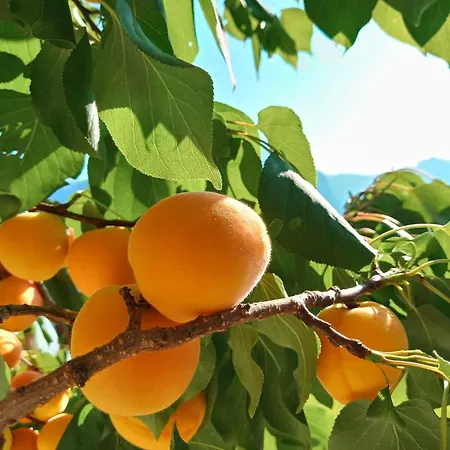 Gsenger In Abtenau By Interhome