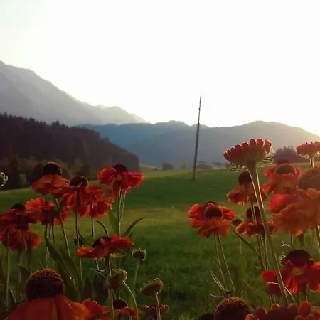 アパート Gsenger In Abtenau By Interhome アプテナウ