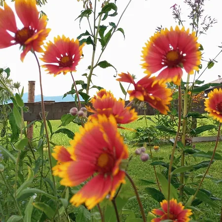 Gsenger In Abtenau By Interhome Apartment Abtenau