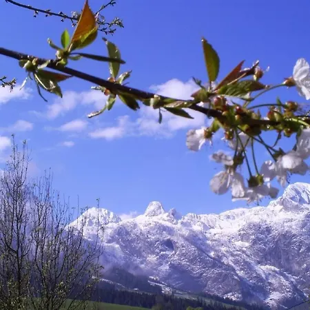 Gsenger In Abtenau By Interhome *