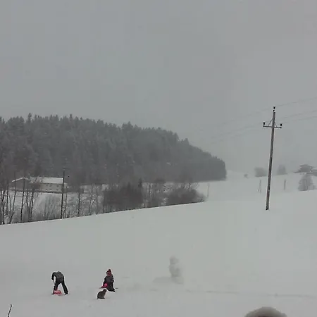 Gsenger In Abtenau By Interhome * アプテナウ