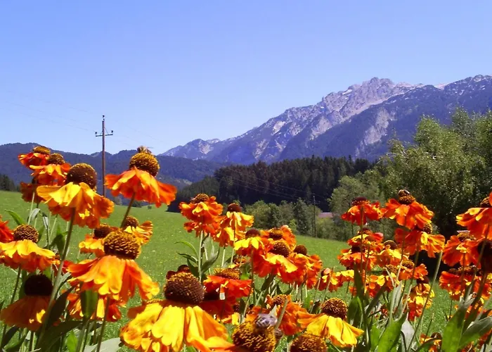 Gsenger In By Interhome Lejlighed