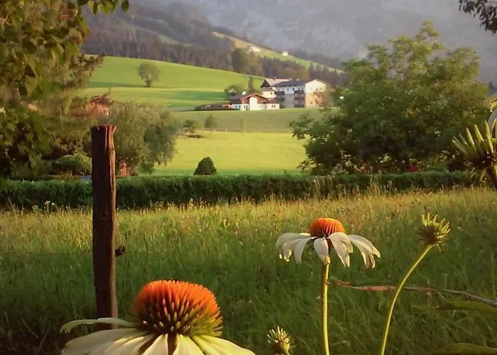 Gsenger In Abtenau By Interhome Abtenau