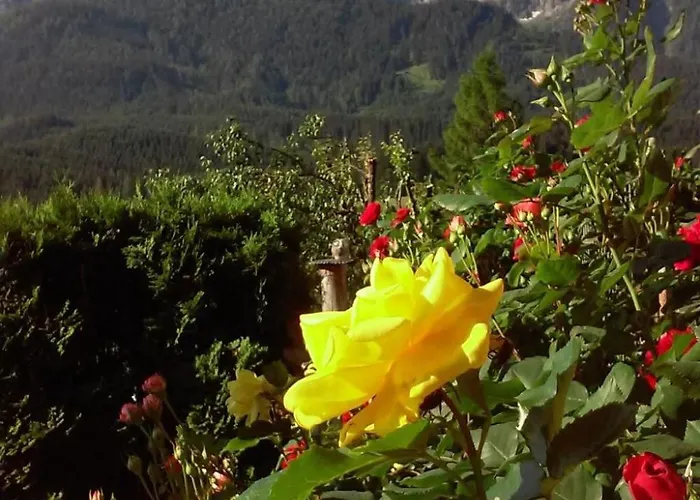 Gsenger In Abtenau By Interhome *