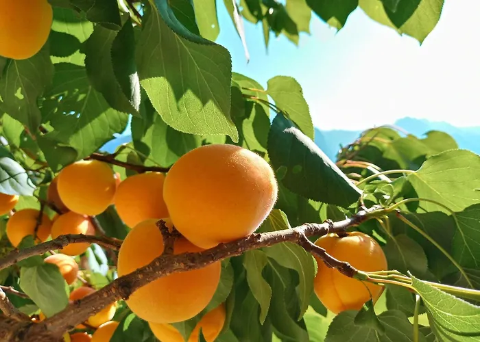 Gsenger In By Interhome