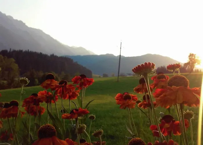 Διαμέρισμα Gsenger In Abtenau By Interhome Abtenau