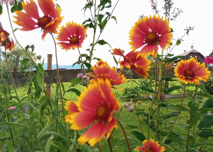 Gsenger In By Interhome Lejlighed Abtenau