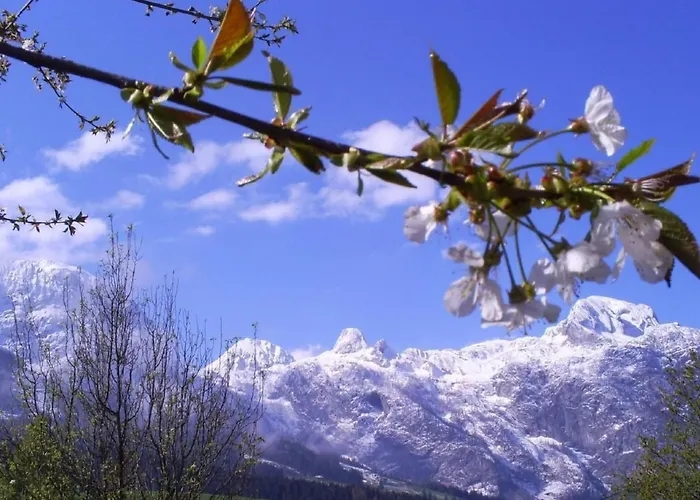 Gsenger In By Interhome *