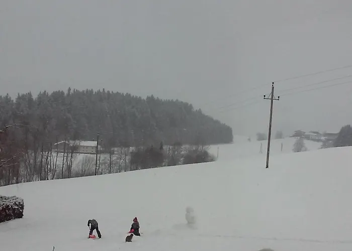 Gsenger In By Interhome * Abtenau